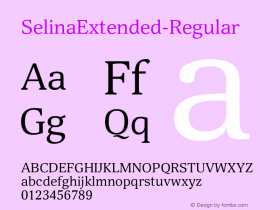 ☞Selina Extended Version 1.000;com.myfonts.easy.paratype.selina.extended-regular.wfkit2.version.5hFh图片样张