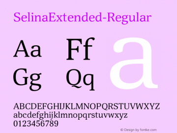☞Selina Extended Version 1.000;com.myfonts.easy.paratype.selina.extended-regular.wfkit2.version.5hFh图片样张