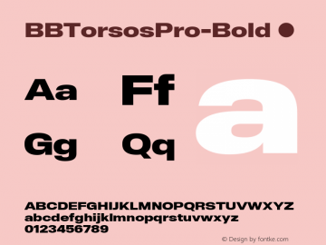 ☞BB Torsos Pro Bold Version 1.000;hotconv 1.0.109;makeotfexe 2.5.65596;com.myfonts.easy.boldstudio.bb-torsos-pro.bold.wfkit2.version.5iWL图片样张