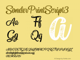 ☞SonderPrintScript3 Version 1.000; ttfautohint (v1.5);com.myfonts.easy.fenotype.sonder.print-script3.wfkit2.version.4Z1G图片样张