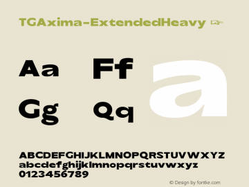 ☞TG Axima Extended Heavy Version 1.000;hotconv 1.0.109;makeotfexe 2.5.65596;com.myfonts.easy.tegami-type.tg-axima.extended-heavy.wfkit2.version.5oVD图片样张