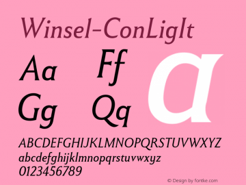 ☞Winsel Cond Light Italic Version 1.000;com.myfonts.easy.insigne.winsel.condensed-light-italic.wfkit2.version.5oNa图片样张