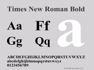 Times New Roman Bold Unknown Font Sample