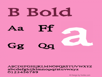 B Bold Version 001.000 Font Sample