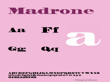 ☞Madrone Version 1.10; 2005; ttfautohint (v1.5);com.myfonts.easy.linotype.madrone.madrone.wfkit2.version.3JZD图片样张