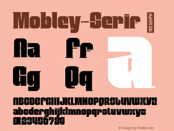☞Mobley Serif Version 1.000;hotconv 1.0.109;makeotfexe 2.5.65596; ttfautohint (v1.5);com.myfonts.easy.sudtipos.mobley.serif.wfkit2.version.5qS3图片样张