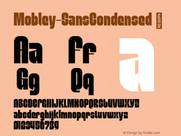 ☞Mobley Sans Condensed Version 1.000;hotconv 1.0.109;makeotfexe 2.5.65596;com.myfonts.easy.sudtipos.mobley.sans-condensed.wfkit2.version.5qS2图片样张