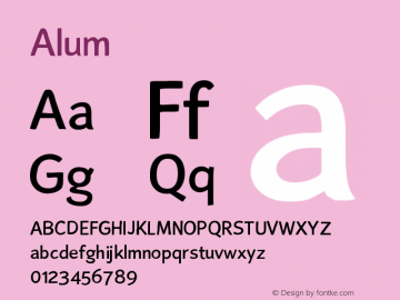 ☞Alum Version 1.001; ttfautohint (v1.5);com.myfonts.easy.typotheticals.alum.regular.wfkit2.version.2jsM图片样张