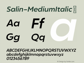 ☞Salin-MediumItalic 1.000;com.myfonts.easy.hurufatfont-type-foundry.salin.medium-italic.wfkit2.version.5t9D图片样张