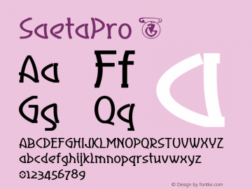 ☞SaetaPro Version 1.000;com.myfonts.easy.dbsv-moulding-ideas.saeta-pro.regular.wfkit2.version.5zND图片样张