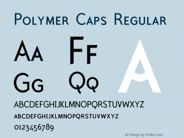 Polymer Caps Regular Version 1.000;PS 001.000;hotconv 1.0.38图片样张