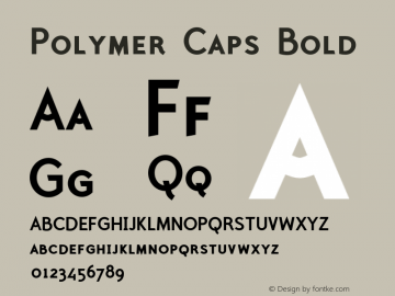 Polymer Caps Bold Version 1.000;PS 001.000;hotconv 1.0.38图片样张