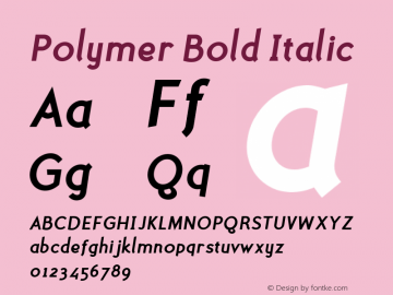 Polymer Bold Italic 001.000 Font Sample