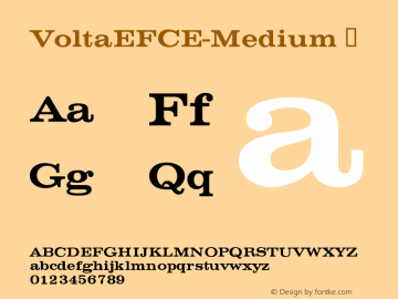 ☞VoltaEFCE-Medium Version 2.00 2003 initial release; ttfautohint (v1.5);com.myfonts.easy.ef.volta.ef-medium.wfkit2.version.3j5Y图片样张