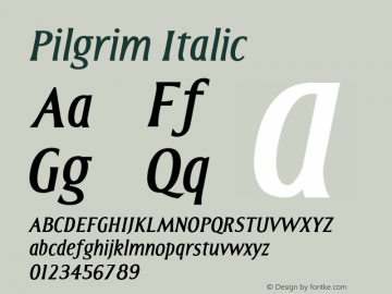 Pilgrim Italic Version 001.000 Font Sample