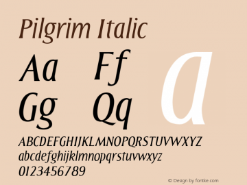 Pilgrim Italic Version 001.000 Font Sample