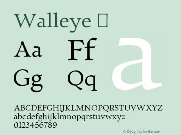 ☞Walleye 1.000; ttfautohint (v1.5);com.myfonts.easy.looseleaf-fonts.walleye.regular.wfkit2.version.3USQ图片样张