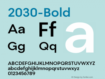 ☞2030 Bold 1.000;com.myfonts.easy.noir-typo.2030.bold.wfkit2.version.4TpC图片样张