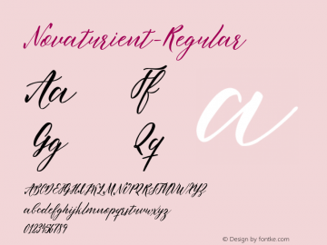 ☞Novaturient-Regular Version 1.001; ttfautohint (v1.5);com.myfonts.easy.dimitri-ana.novaturient.regular.wfkit2.version.5x7D图片样张