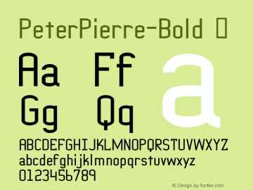 ☞PeterPierre-Bold Version 1.07 2021;com.myfonts.easy.ingrimayne.peter-pierre.bold.wfkit2.version.5Fzb图片样张