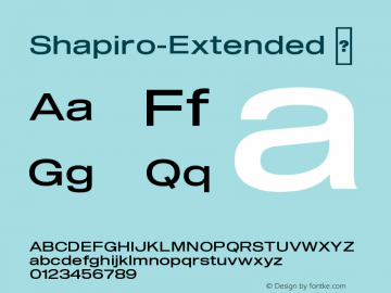 ☞Shapiro Extended Version 3.000;com.myfonts.easy.ogj-typedesign.shapiro.extended.wfkit2.version.5CfV图片样张