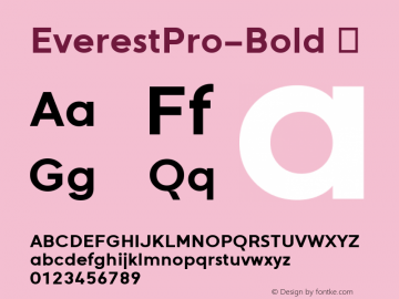 ☞EverestPro-Bold Version 1.000;com.myfonts.easy.nicolass-fonts.everest-pro.bold.wfkit2.version.5DLP图片样张