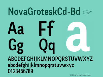 ☞Nova Grotesk Condensed Bold Version 1.000;hotconv 1.0.109;makeotfexe 2.5.65596;com.myfonts.easy.untype.nova-grotesk.condensed-bold.wfkit2.version.5FoL图片样张