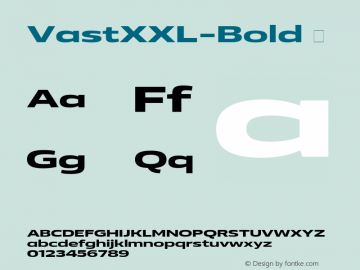 ☞Vast XXL Bold Version 1.001;com.myfonts.easy.paratype.vast.xxl-bold.wfkit2.version.5KF3图片样张
