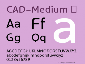 ☞CAD Medium Version 1.000;com.myfonts.easy.nicolass-fonts.cad.medium.wfkit2.version.5KUe图片样张