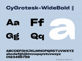 ☞Cy Grotesk Wide Bold Version 1.010;hotconv 1.0.109;makeotfexe 2.5.65596;com.myfonts.easy.kobuzan.cy-grotesk.wide-bold.wfkit2.version.5LAY图片样张