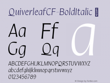 ☞Quiverleaf CF Bold Italic Version 1.000;FEAKit 1.0;com.myfonts.easy.connary-fagen.quiverleaf-cf.bold-italic.wfkit2.version.5NLL图片样张