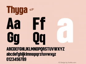 ☞Thyga Version 1.000;com.myfonts.easy.fateh-lab.thyga-.regular.wfkit2.version.5Q5W图片样张