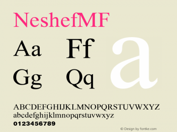 ☞NeshefMF Version 001.000;com.myfonts.easy.masterfont.neshef-mf.regular.wfkit2.version.3ubS图片样张