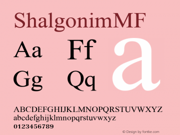 ☞ShalgonimMF Version 001.000;com.myfonts.easy.masterfont.shalgonim-mf.regular.wfkit2.version.3ub3图片样张