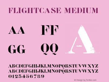 Flightcase Medium Version 001.000图片样张