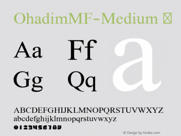 ☞OhadimMF Medium Version 2.000;com.myfonts.easy.masterfont.ohadim-mf.medium.wfkit2.version.3u9Q图片样张