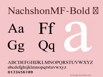 ☞NachshonMF Bold Version 2.000;com.myfonts.easy.masterfont.nachshon-mf.bold.wfkit2.version.3tFZ图片样张