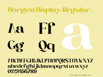 ☞BorgestDisplay-Regular Version 1.000;com.myfonts.easy.black-studio.borgest-display.regular.wfkit2.version.5Reb图片样张