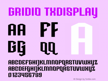 GRIDIO TXDISPLAY Version 1.000图片样张