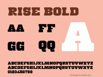 Rise Bold Version 1.000;January 2, 2022;FontCreator 14.0.0.2814 64-bit图片样张