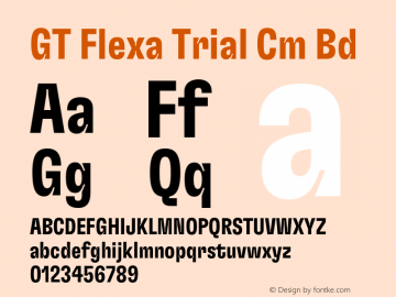 GT Flexa Trial Cm Bd Version 3.000 2020-07-08图片样张