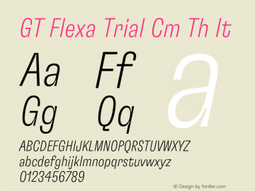 GT Flexa Trial Cm Th It Version 3.000 2020-07-08图片样张