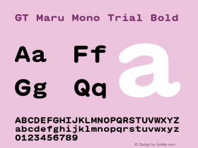 GT Maru Mono Trial Bold Version 2.000;FEAKit 1.0图片样张