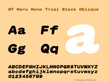 GT Maru Mono Trial Black Oblique Version 2.000;FEAKit 1.0图片样张