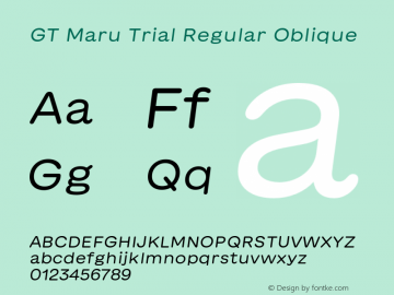 GT Maru Trial Regular Oblique Version 2.000;FEAKit 1.0图片样张