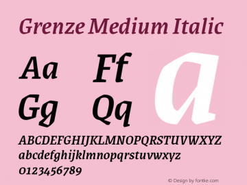 Grenze Medium Italic Version 1.002; ttfautohint (v1.8)图片样张