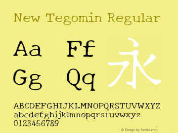 New Tegomin Regular Version 1.000图片样张