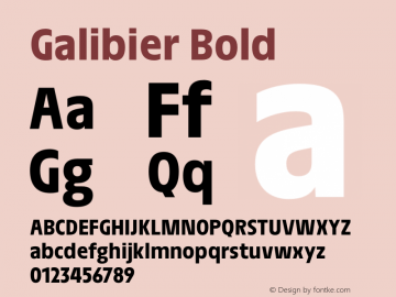 Galibier Bold Version 1.000;PS 001.000;hotconv 1.0.88;makeotf.lib2.5.64775图片样张