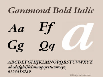 Garamond Bold Italic 9.0d5e2图片样张