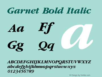 Garnet Bold Italic Altsys Metamorphosis:12/19/95图片样张
